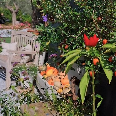 מלון מונזמבנו Casa Autunno מראה חיצוני תמונה