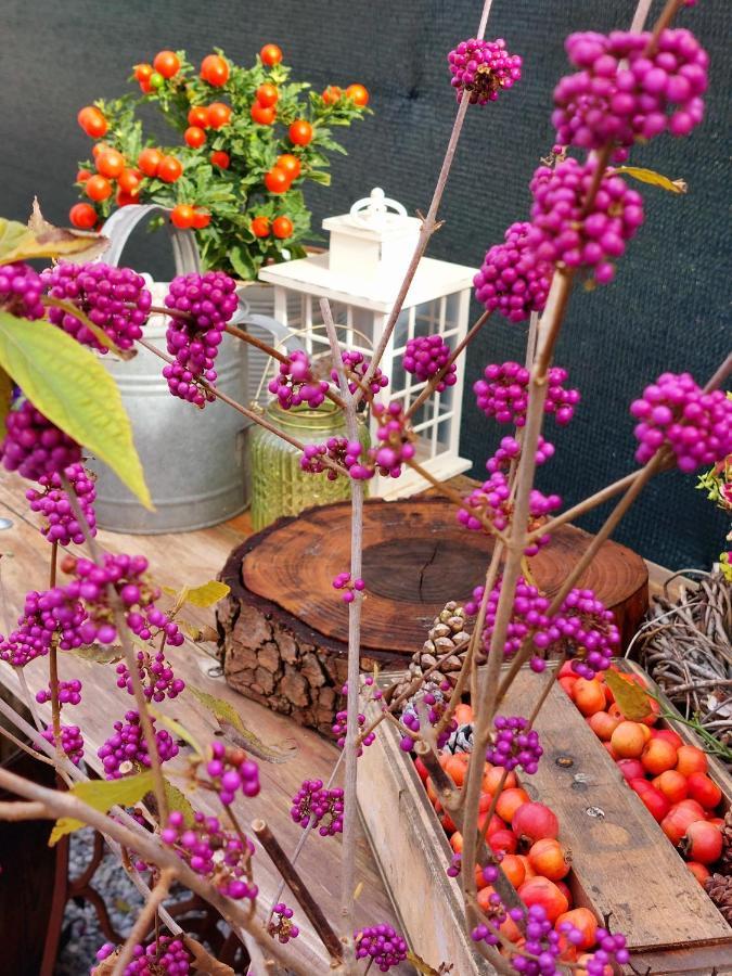 מלון מונזמבנו Casa Autunno מראה חיצוני תמונה