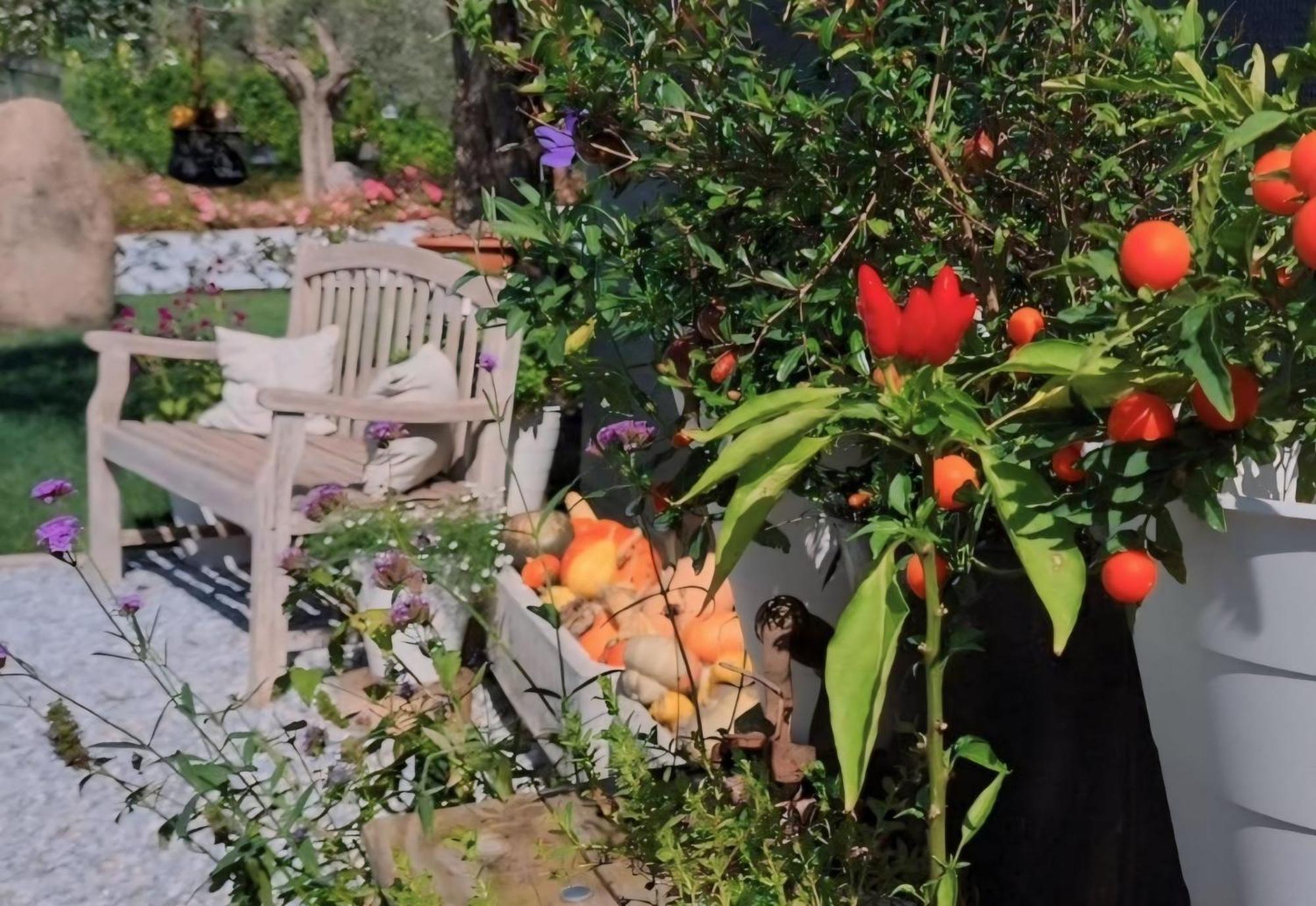 מלון מונזמבנו Casa Autunno מראה חיצוני תמונה
